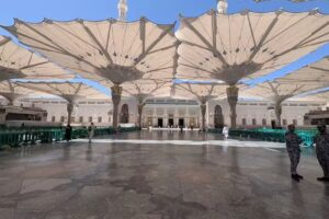 Amax Travel Services