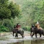 Ambassador Passport and Visa Services, Inc.