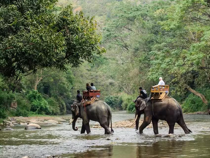 Ambassador Passport and Visa Services, Inc.