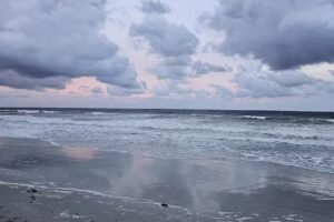 Amelia Island Horseback Riding