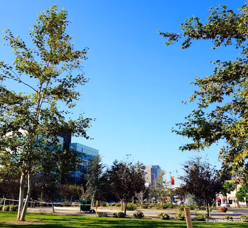 American Lion Transportation