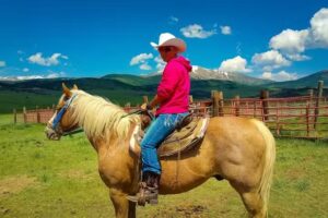 American Safari Ranch