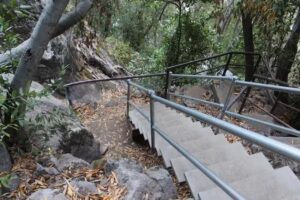 American Tours & Travel, Inc