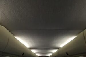 American Vacation Bus Company