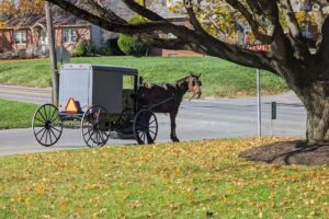 Amish Guest House & Cottage