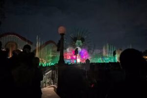 Amy Belfi – Disney Travel Planner