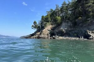Anacortes Kayak Tours