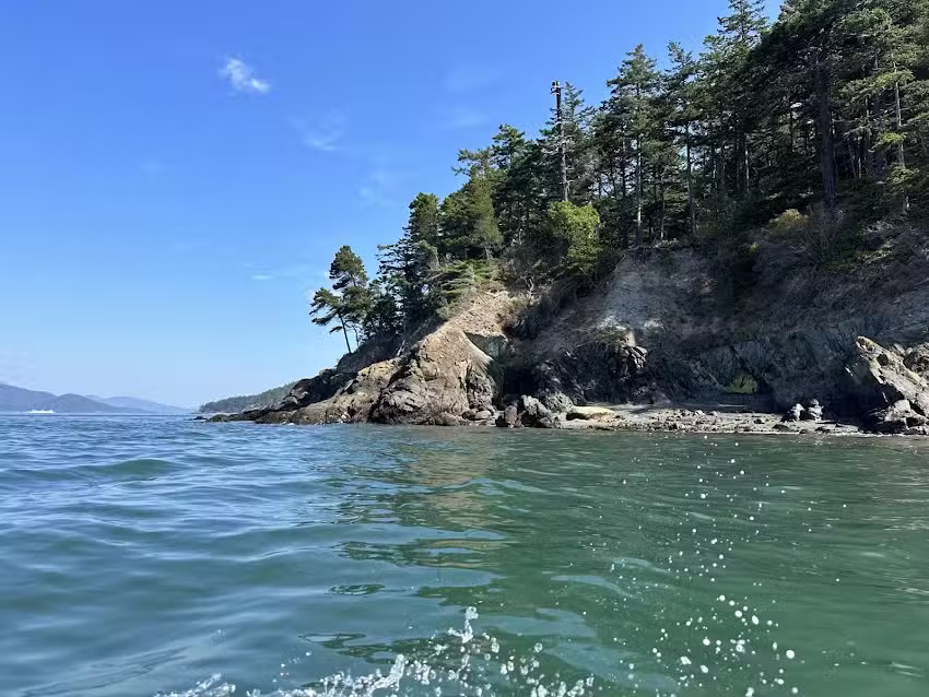 Anacortes Kayak Tours
