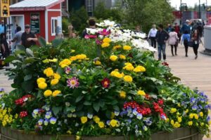 Anchor Down Travel Dream Vacations