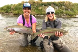 Anchor Point Tours and Travel