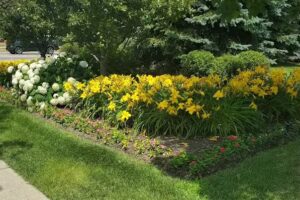 Andreea Matei Bilete de avion