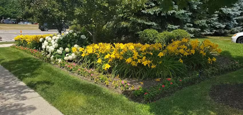 Andreea Matei Bilete de avion