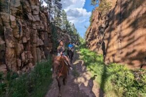 Andy&rsquo;s Trail Rides