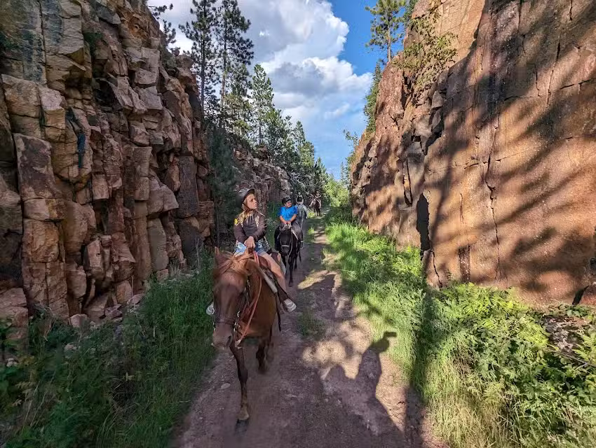 Andy&rsquo;s Trail Rides