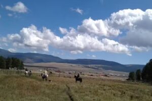 Angel Fire Central Reservations