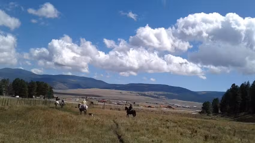 Angel Fire Central Reservations