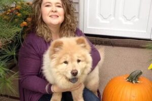 Angello Luxury Travel