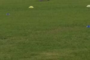 Annie Miller’s Son’s Swamp