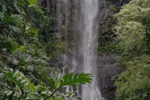 AnyTravel Anytime travel agency