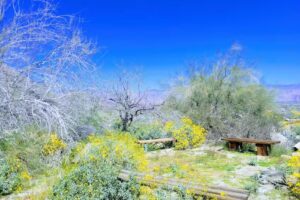 Anza-Borrego Foundation – State Park Store
