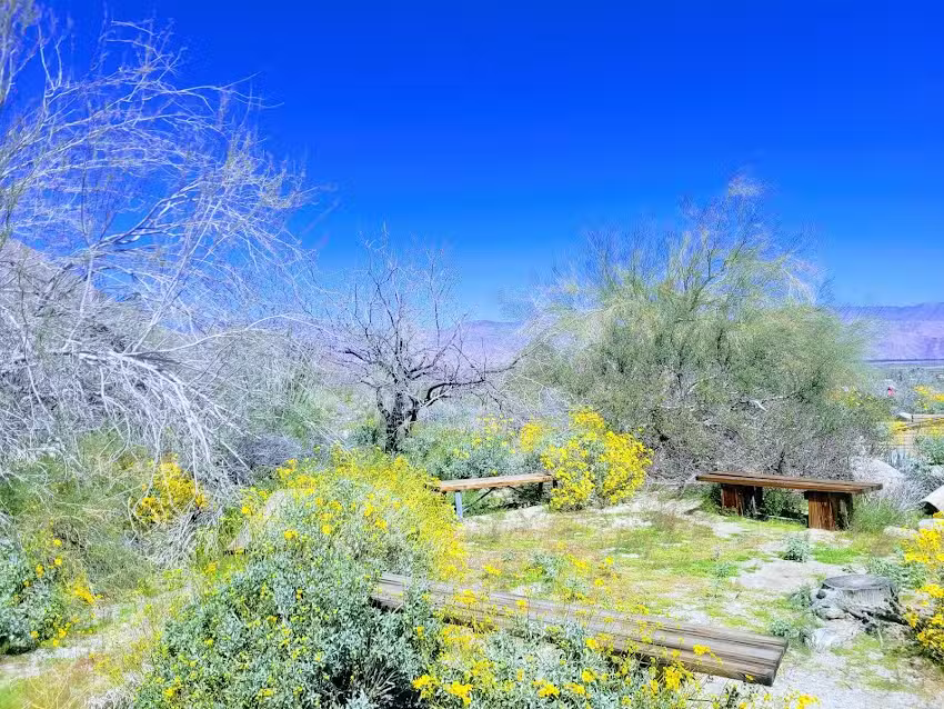 Anza-Borrego Foundation – State Park Store