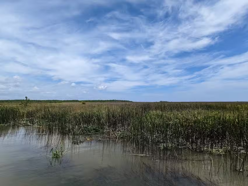 Apalachicola Airboat Adventures & Boat Tours