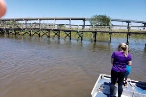 Apalachicola Airboat Excursions