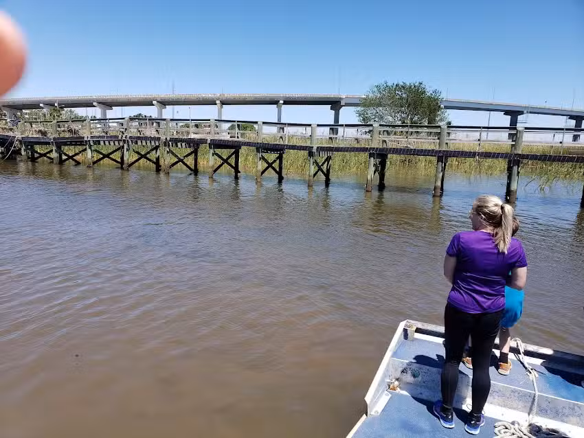 Apalachicola Airboat Excursions