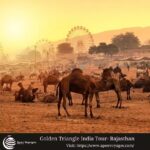 Apex Voyages – Golden Triangle Tours in India