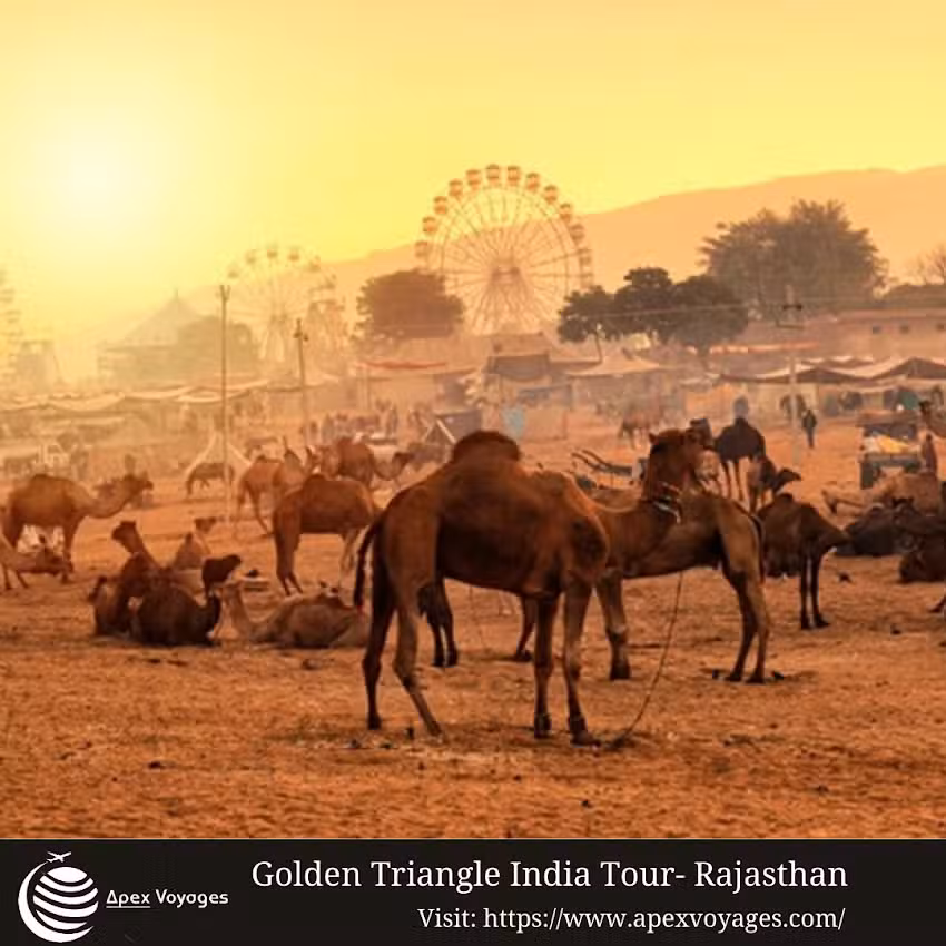 Apex Voyages &ndash; Golden Triangle Tours in India