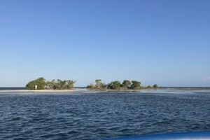 Aqua leisure boat tours