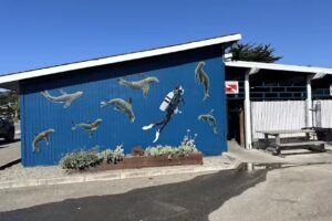 Aquarius Dive Shop