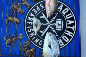 AquaThor Spearfishing