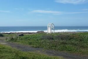 Arbor House North and South in Yachats by Vacasa