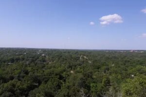 Arbuckle Trail Rides