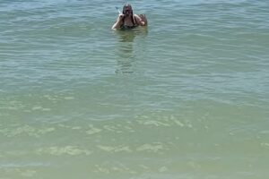 Arcadia Travel & Cruises