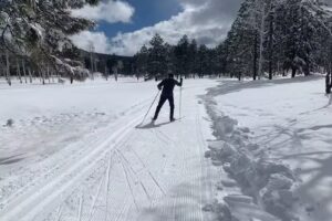 Arizona Nordic Village