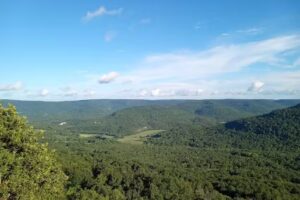 Arkansas Grand Canyon View Cabins