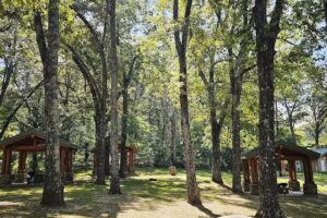 Arkansas Welcome Center at Harrison