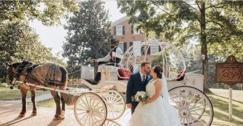 Around the Town Carriage