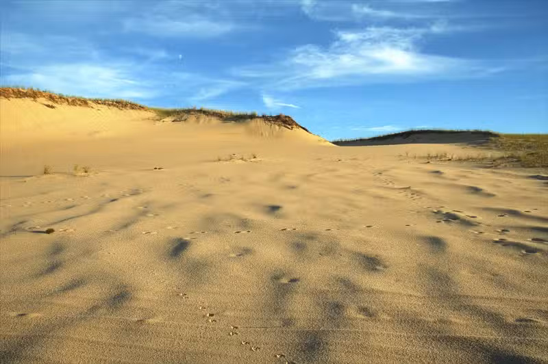 Art&rsquo;s Dune Tours