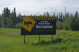 ARUMS Travel Consultants