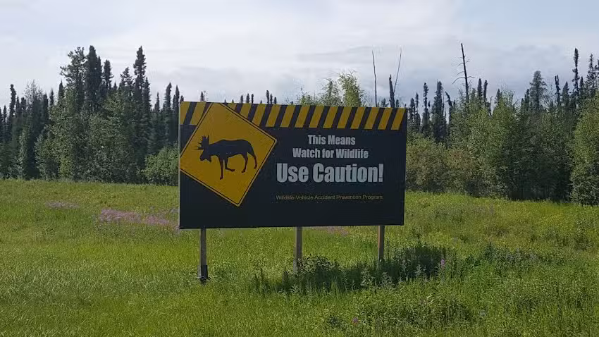 ARUMS Travel Consultants