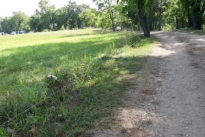 At The Lake Vacation Rentals