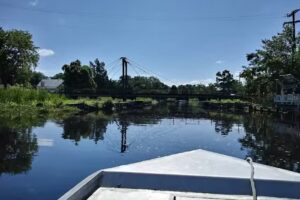 Atchafalaya basin backwater adventure swamp tour