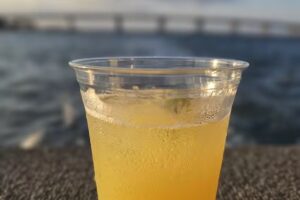 Atlantic City Tiki Boat