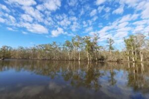 Attakapas Adventures Swamp Tours