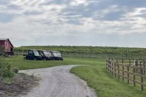 Augusta Vineyard Tours