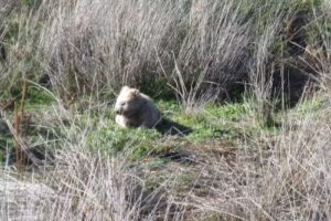 Australia 2000 Travel