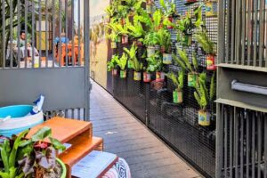 Avital Food Tours of San Francisco